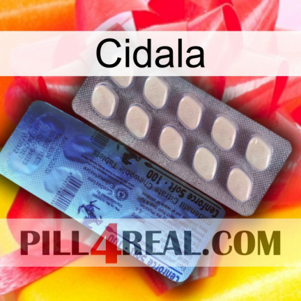 Cidala 34